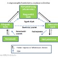 Az Interchange-díj kalandjai