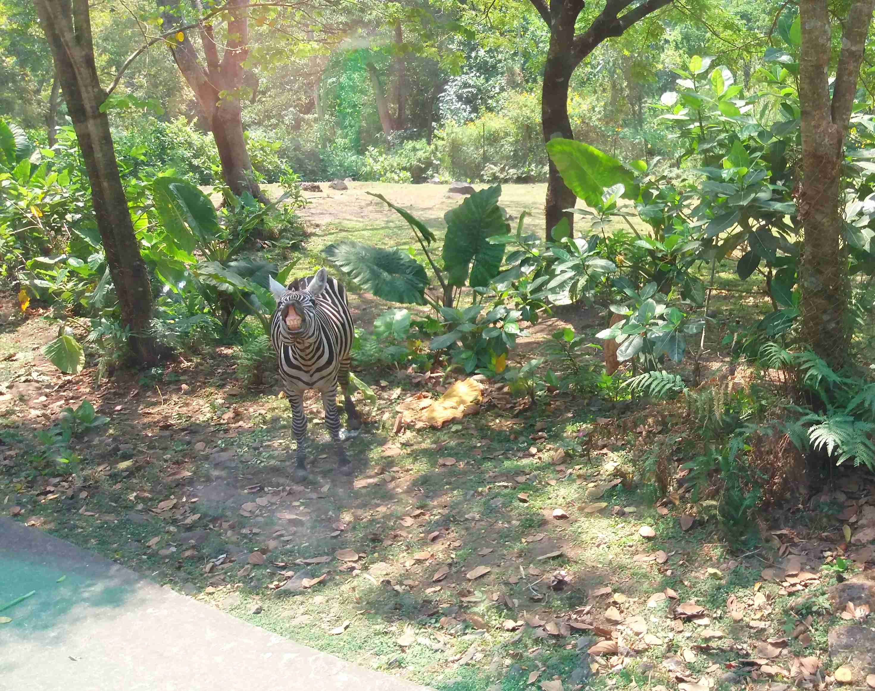 20170819_115014.jpg