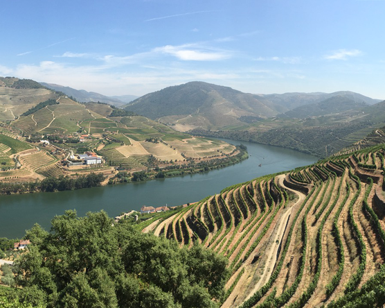 Portugália - Douro völgy, a portói hazája. Bor, mámor és világörökség.