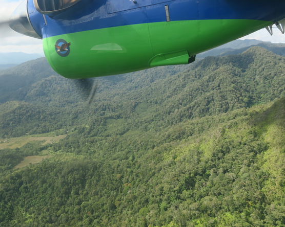 Kelabit Highlands és Lambir Hills - Séták a rengetegben