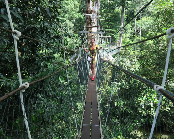 Kota Kinabalu és környéke – Mulu Nemzeti Park