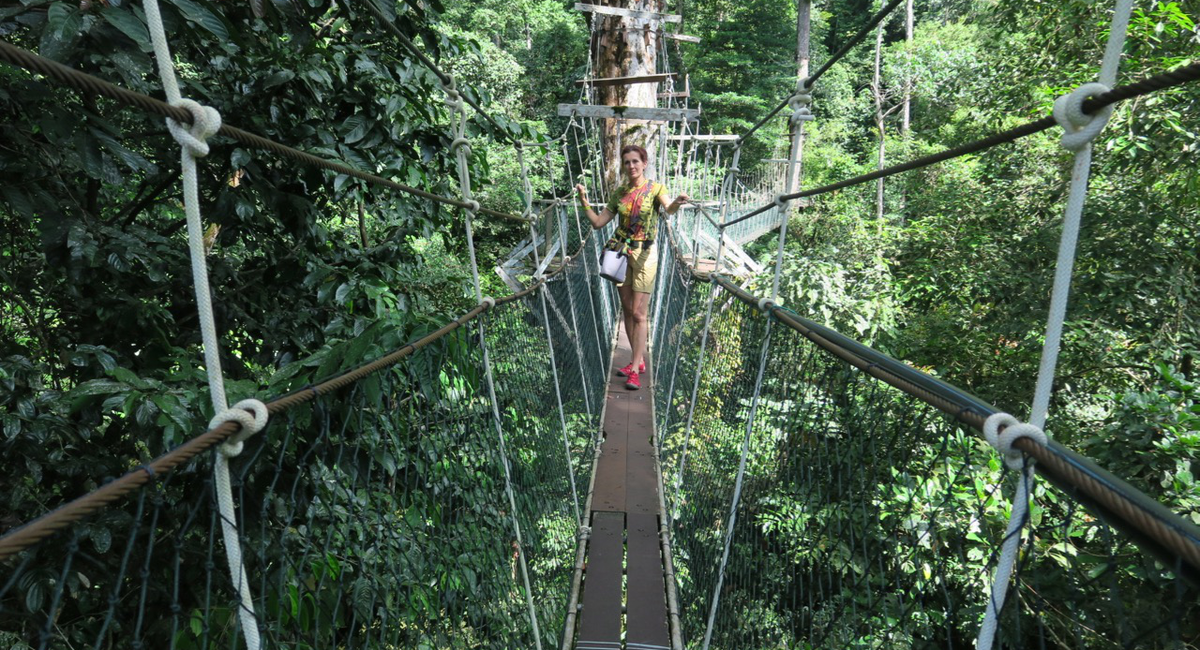 Kota Kinabalu és környéke – Mulu Nemzeti Park