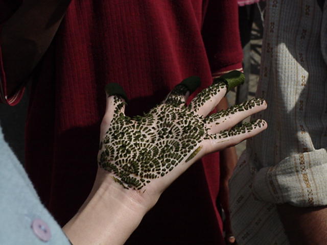 hena2.jpg