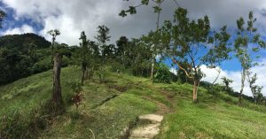 Trekking látkép a costa ricai Arenal Vulkán Cerro Chato útvonalán.