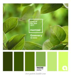 pantone2017-2.jpg