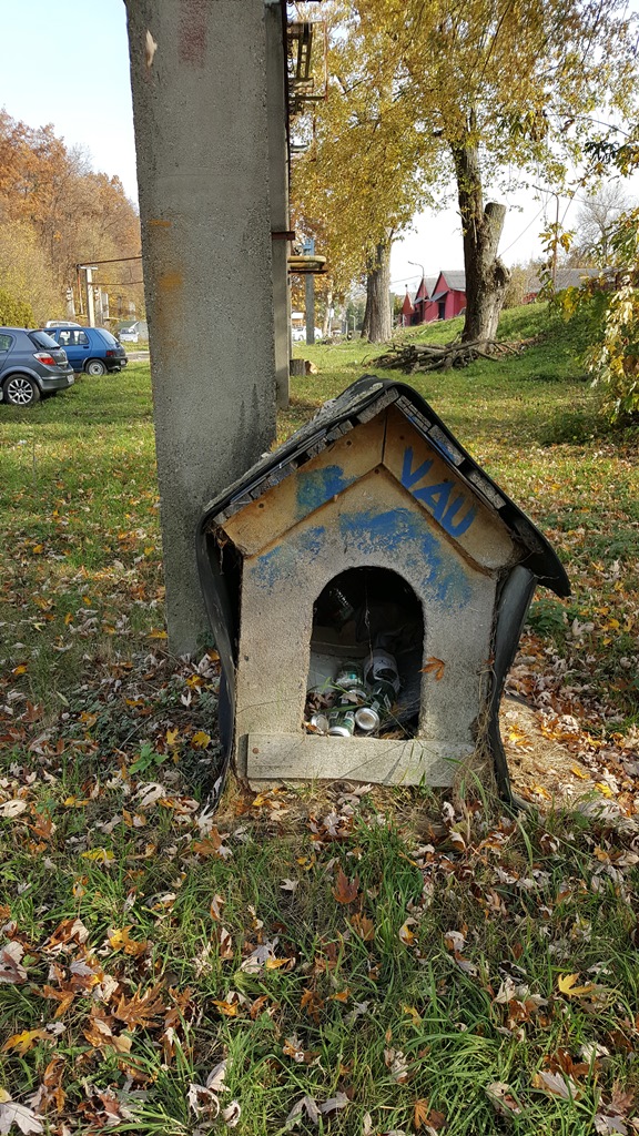 20181103_113229.jpg
