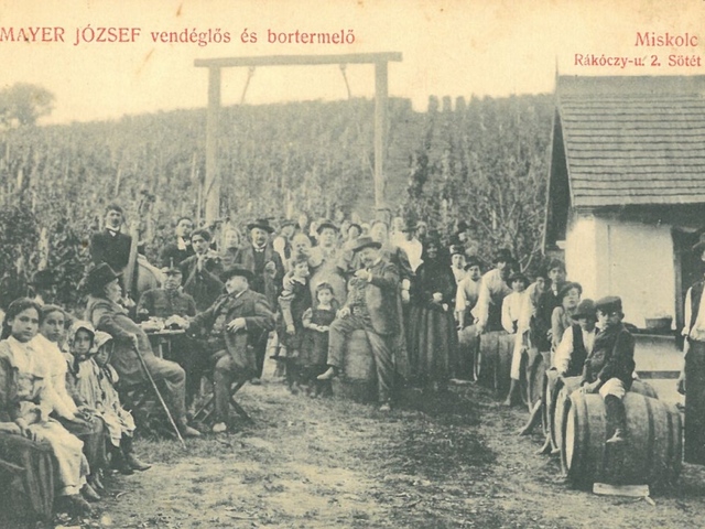 Tíz érdekesség a miskolci borkultúráról