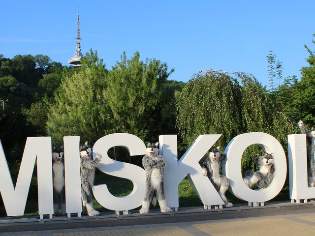 Nem félünk a farkastól - interjú Loopyval
