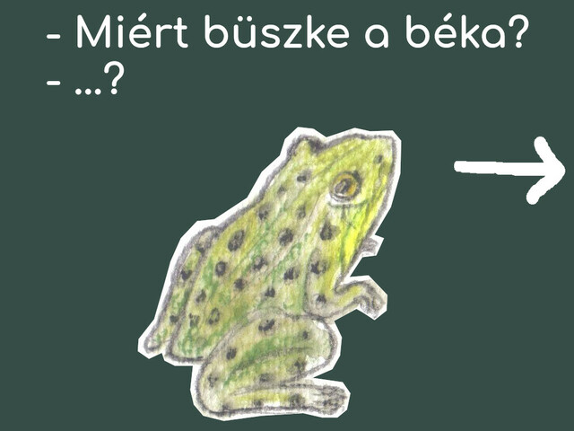 Nyári képes viccek kommentár nélkül