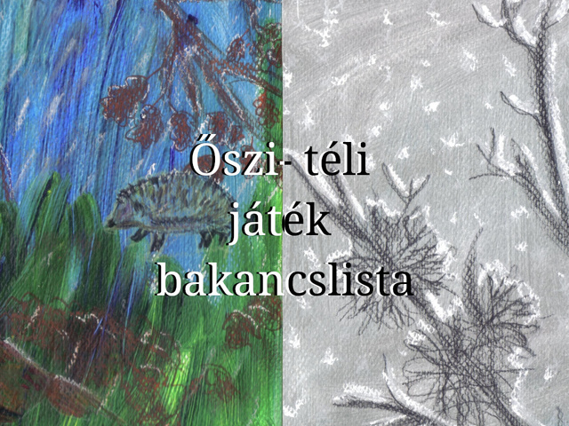 3+1 őszi-téli játék bakancslista