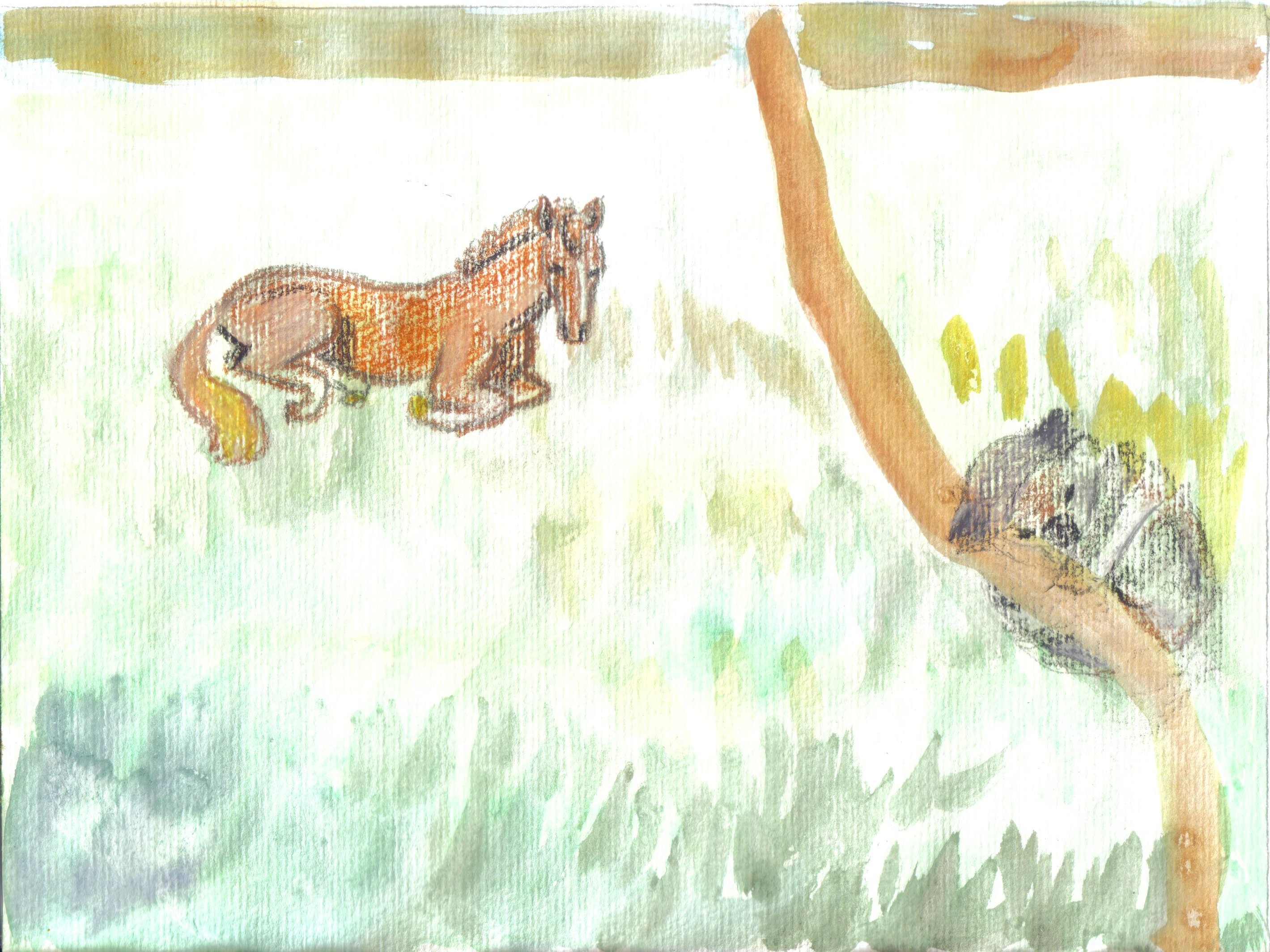 a002.jpg
