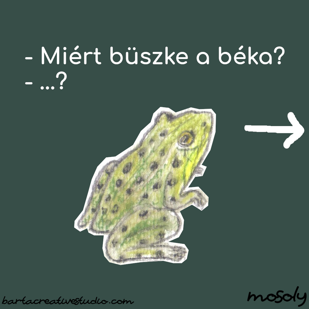 bekas_vicc_01.jpg