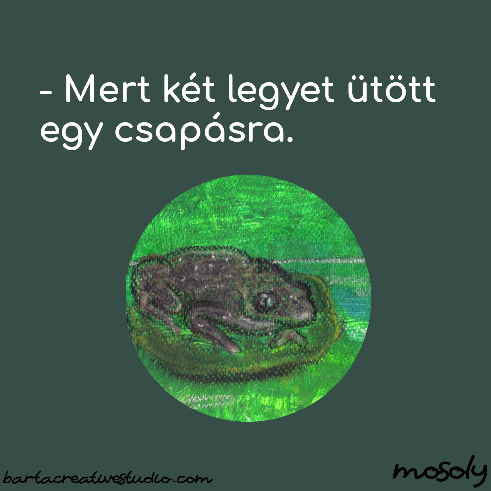 bekas_vicc_02.jpg
