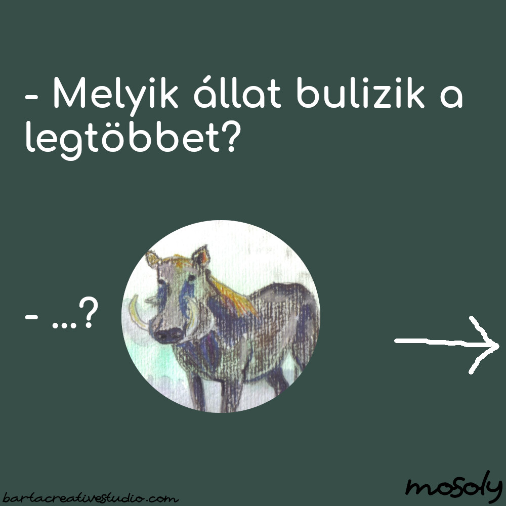 bulis_vicc.JPG