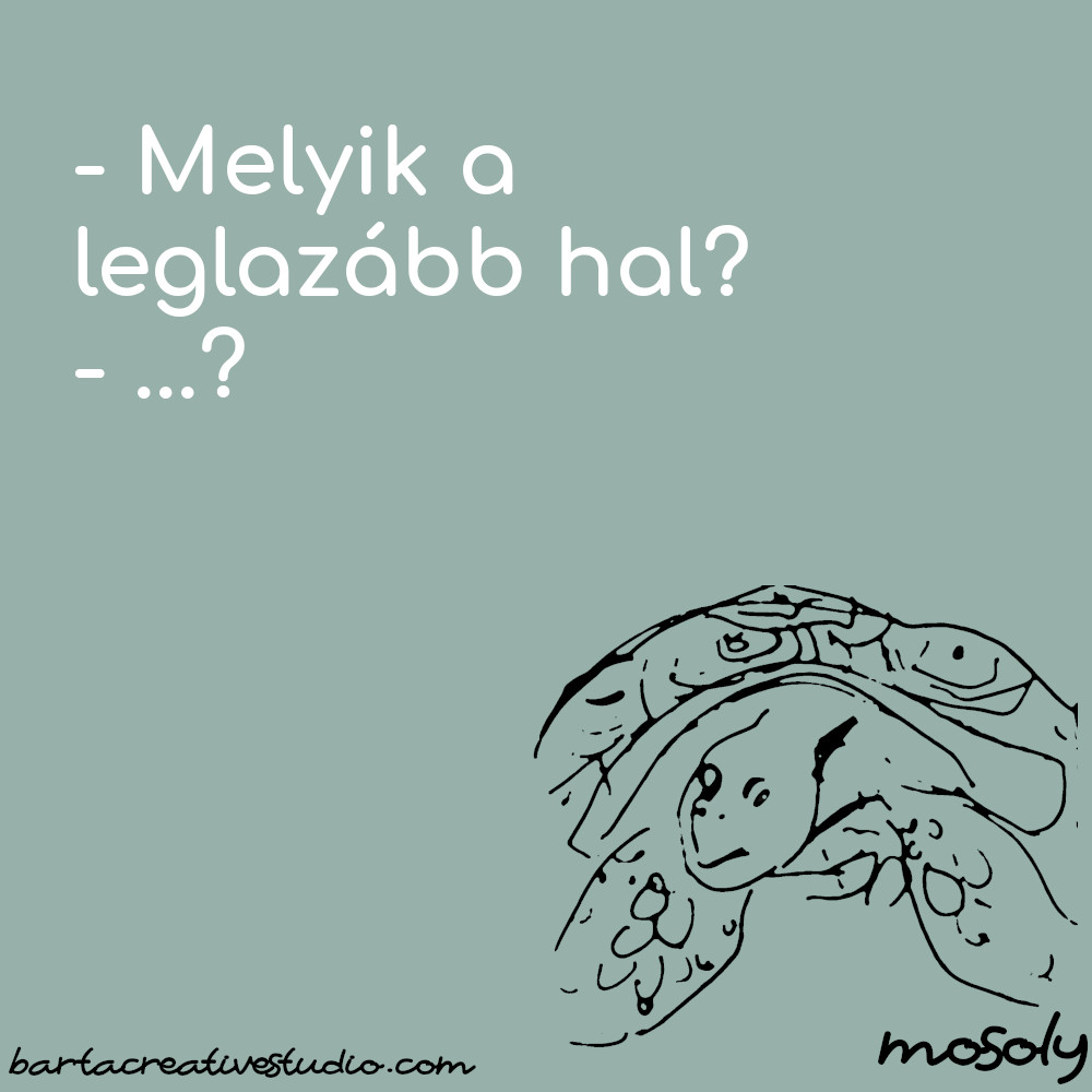halas_vicc01a.jpg