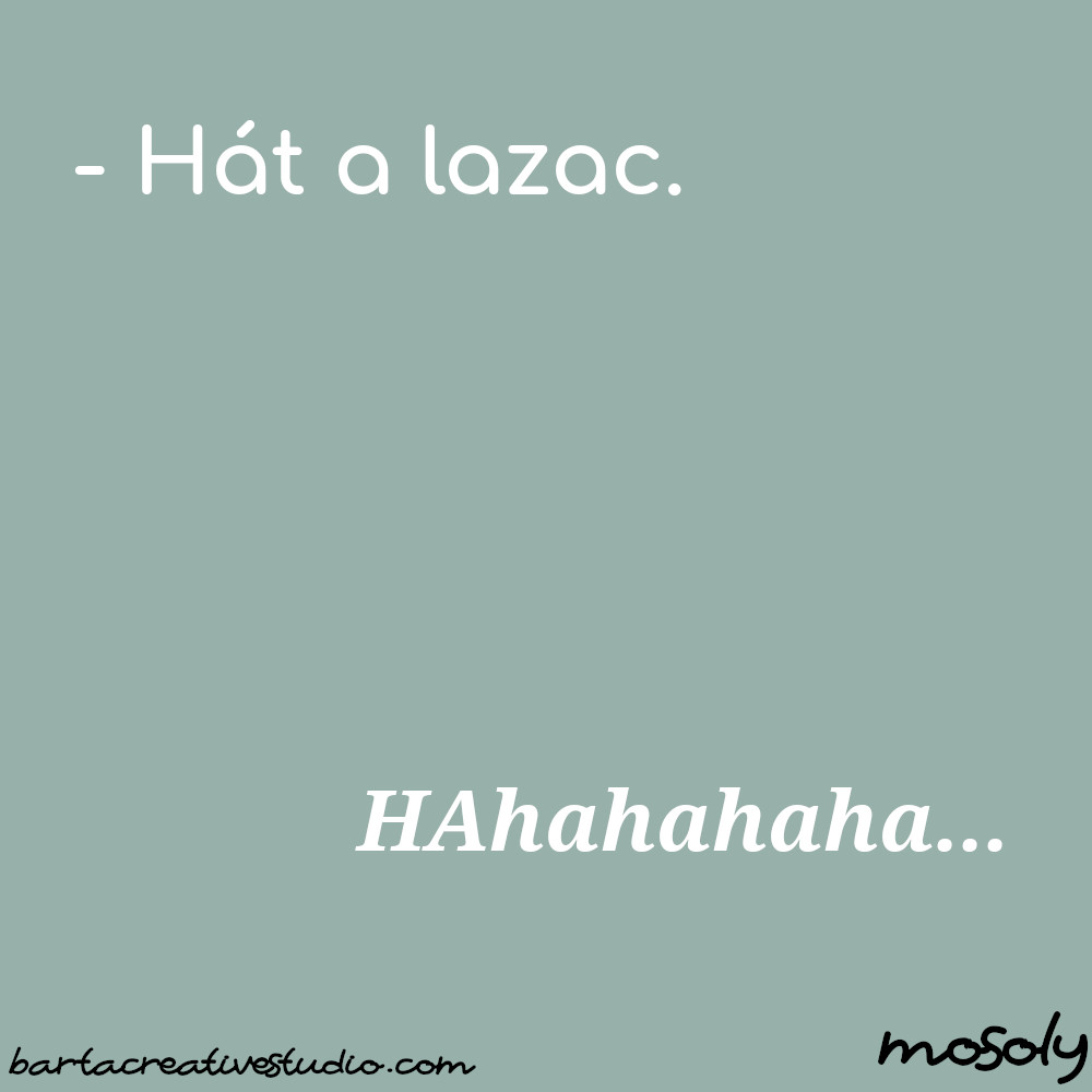 halas_vicc02a.jpg