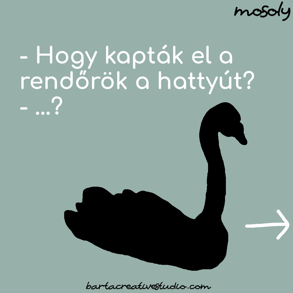 hattyus_vicc01.jpg