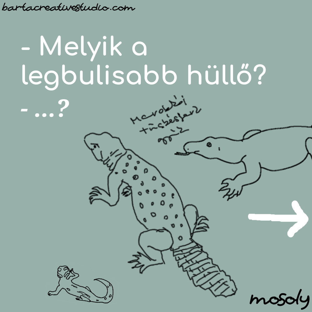 hullo_vicc01.jpg