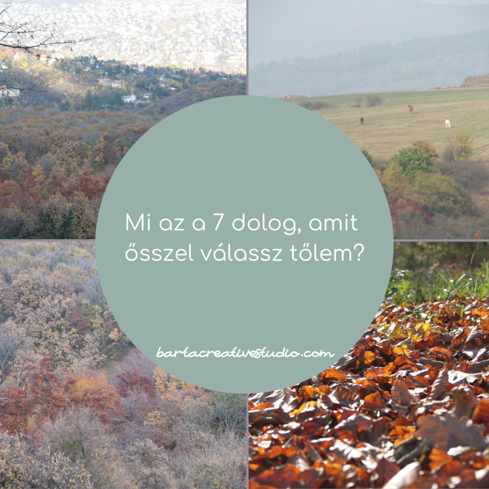 osz_ajanlo01.jpg