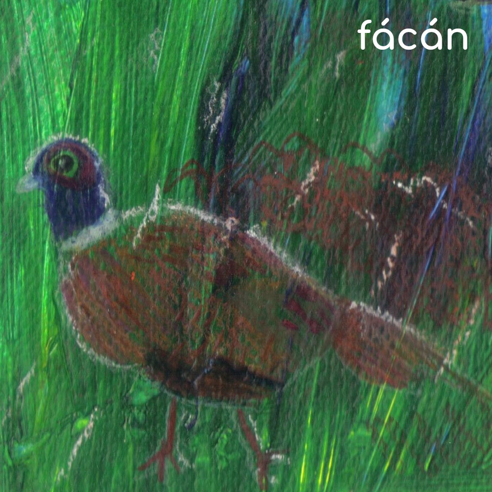 facan_montazs.jpg