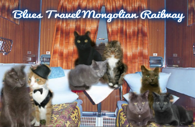 Travelling on the Mongolian Railway