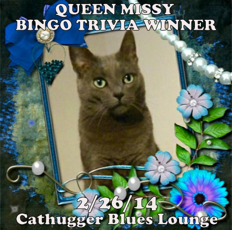 Bingo Winner on Cathugger