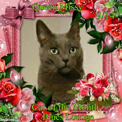 Queen-missy-cat-of-the-month-9-14.jpg