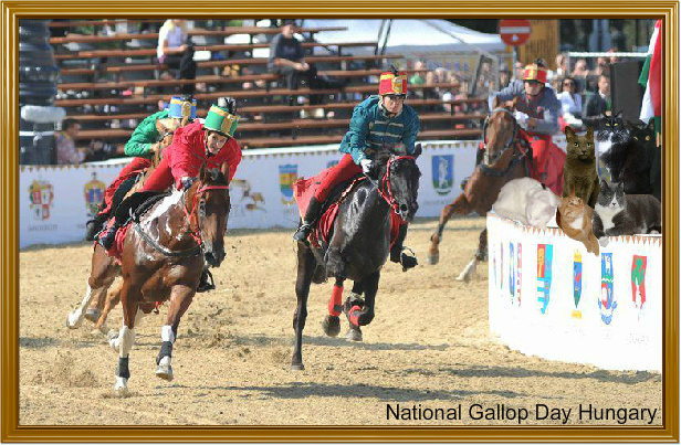 National Gallop Day