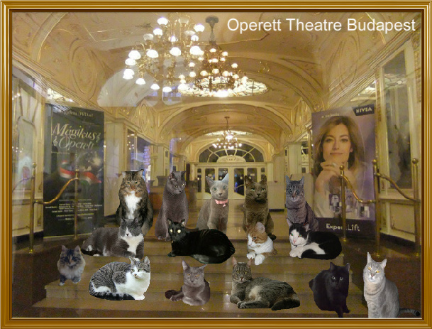 Operett Theatre