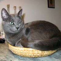 Last months of winter