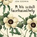 Jon Szomin: A kis szöuli fazekasműhely