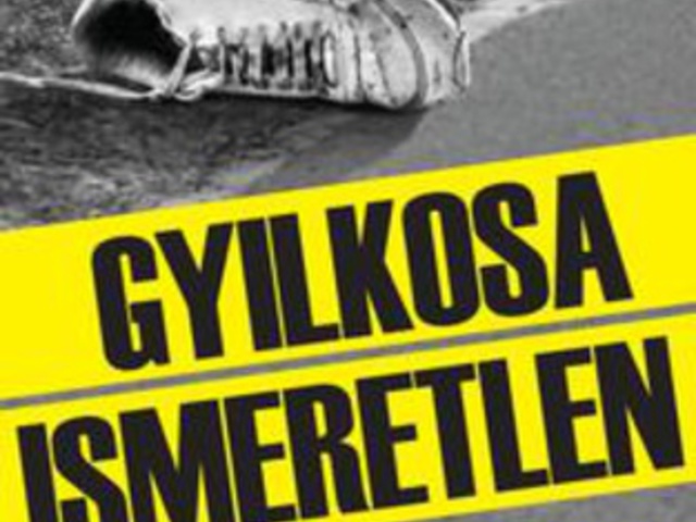 Csikós Klaudia, Gedei Norbert: Gyilkosa ismeretlen