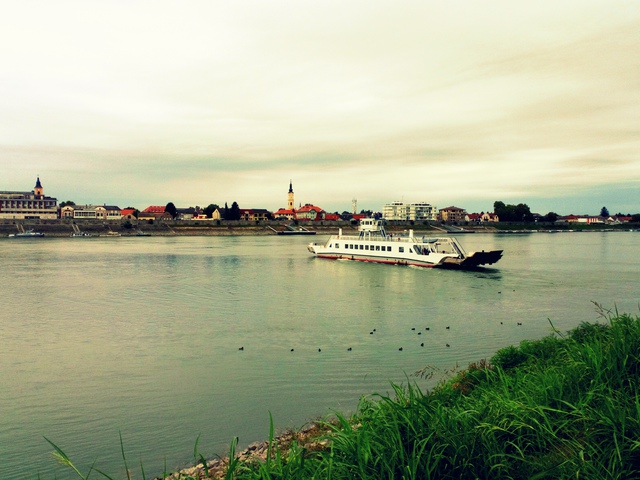 Mohács, Duna