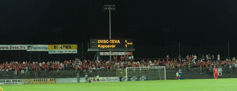 dvsc1.jpg