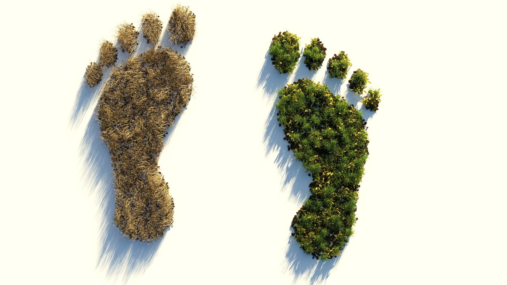 ecological-footprint-4123696_1920.jpg