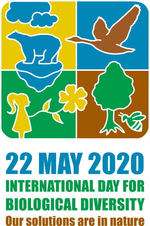 idb-2020-logo-en-vertical-web.png