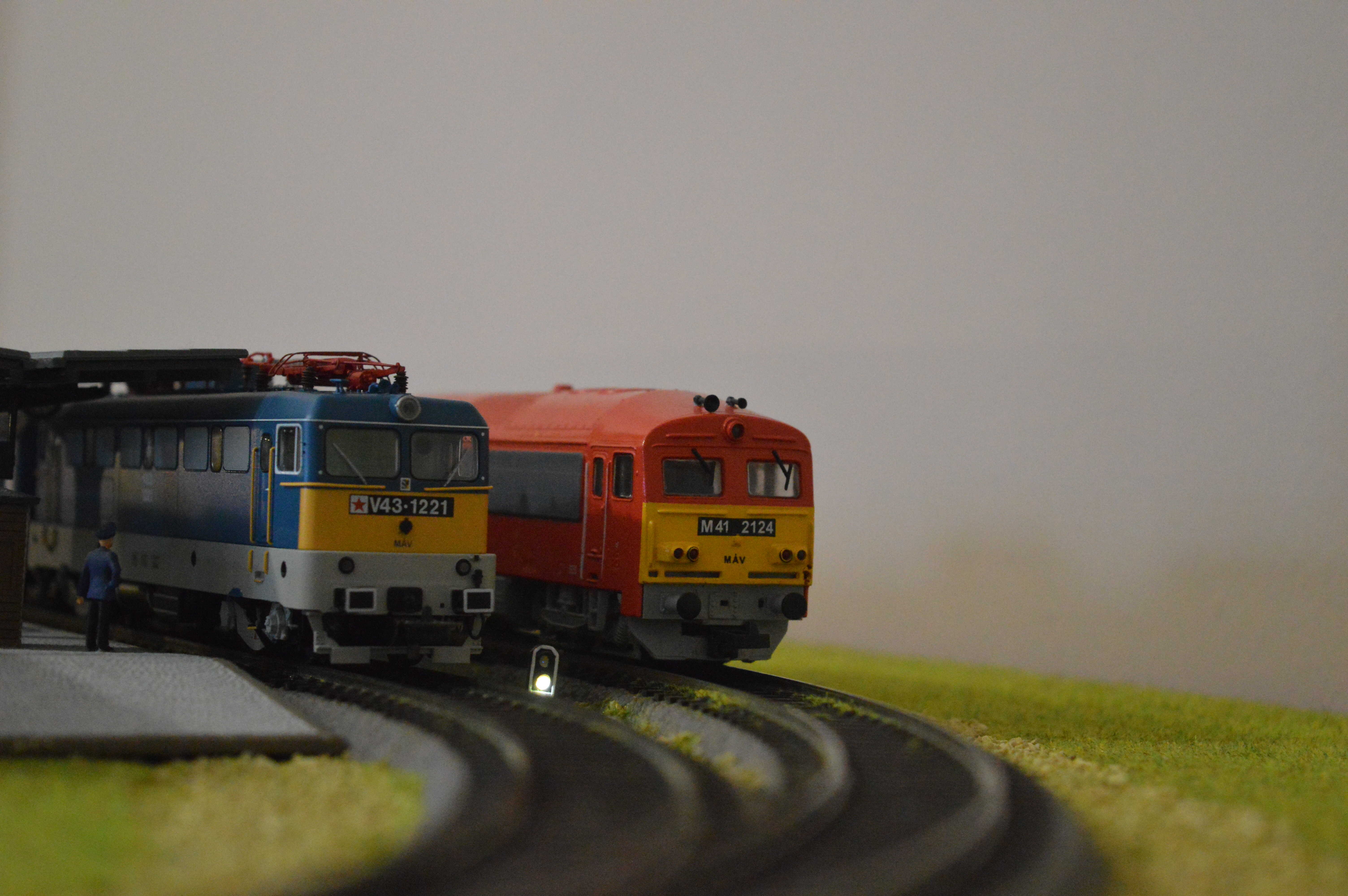 dsc_0003_optimized.jpg