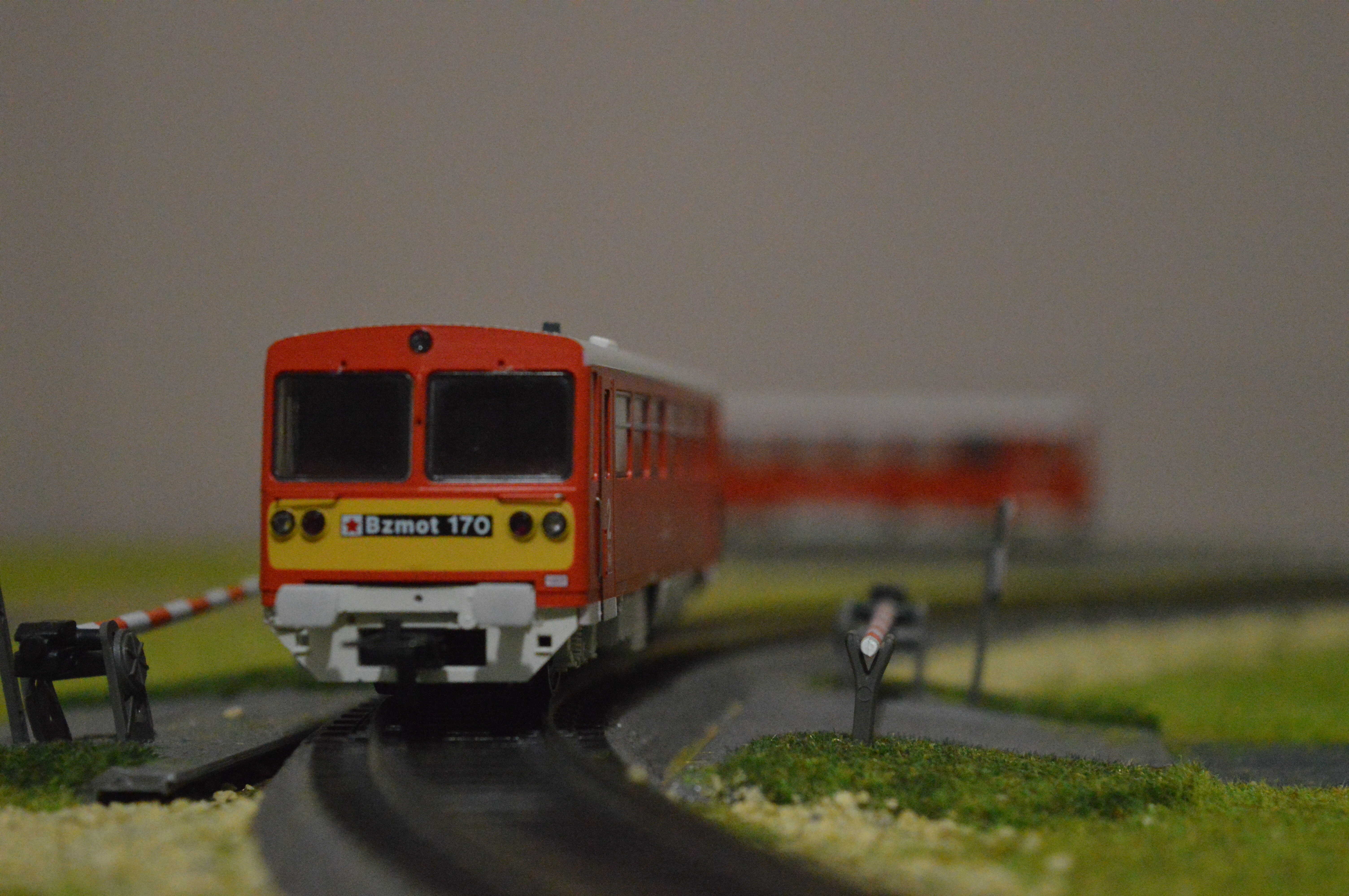 dsc_1660_optimized.jpg