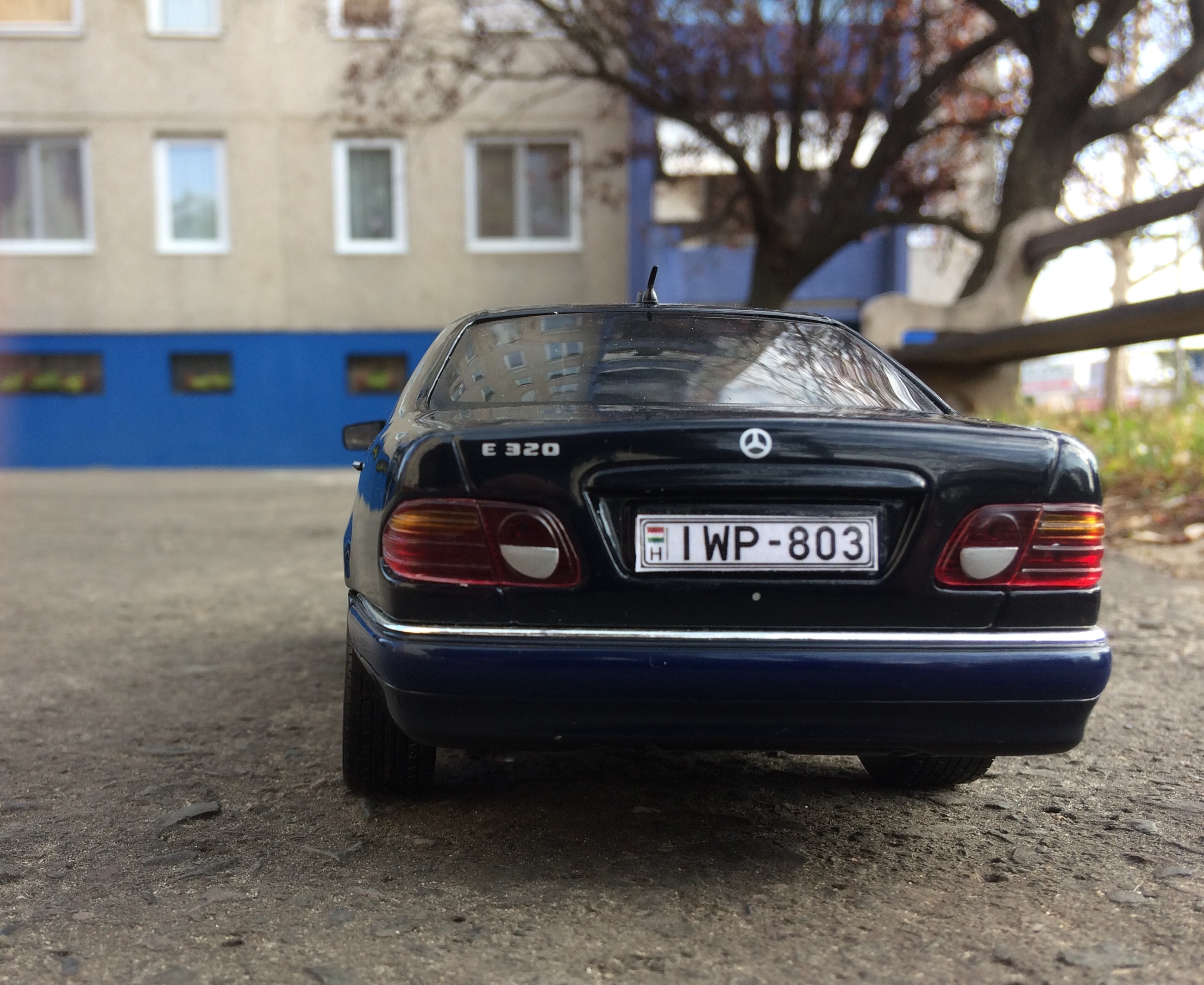 img_9666.jpeg