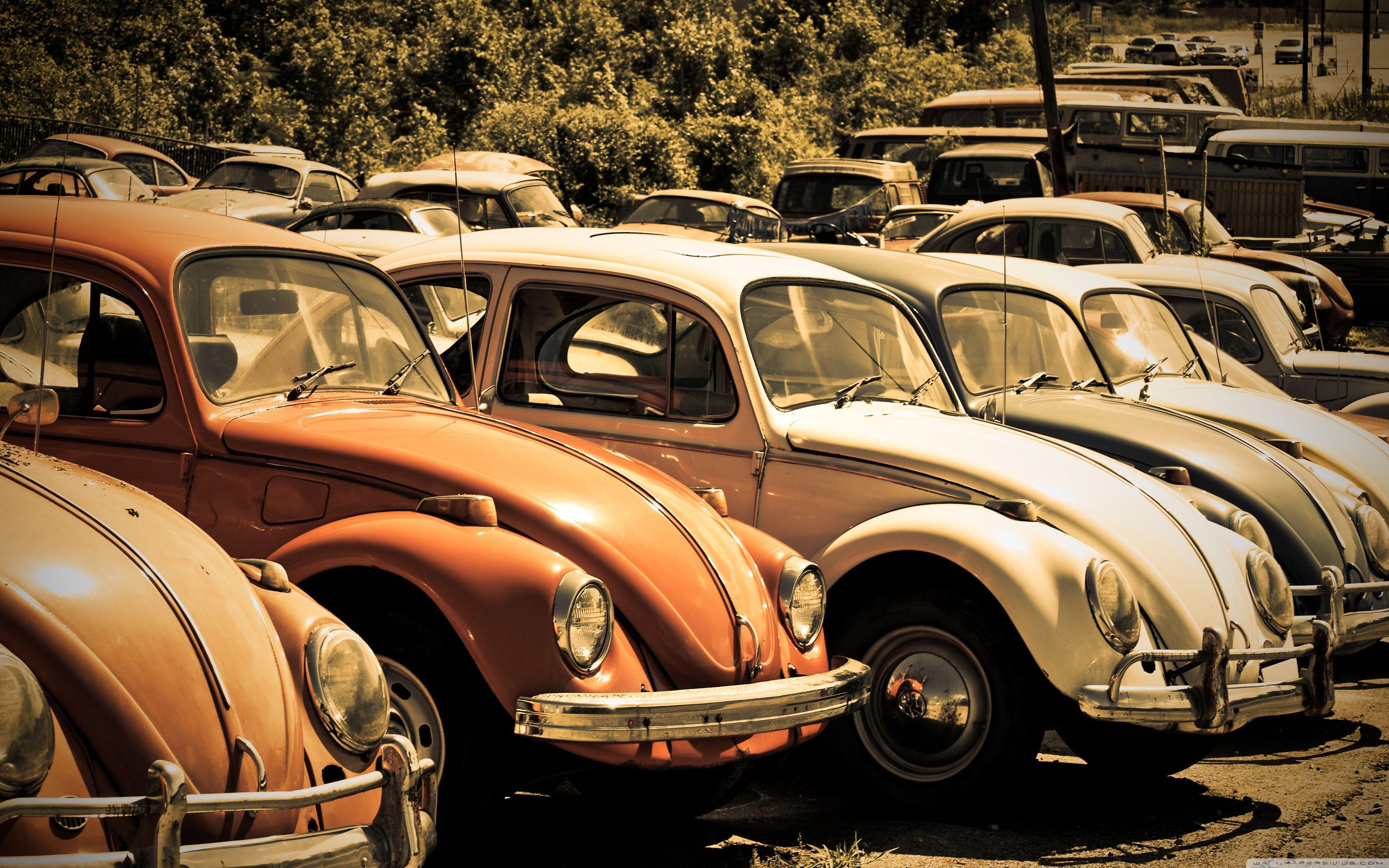 wp1845368-volkswagen-beetle-wallpapers.jpg