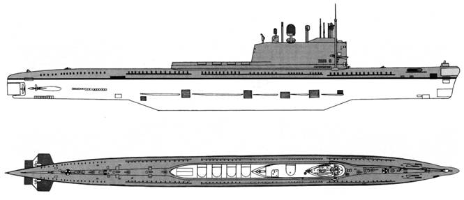 605.jpg