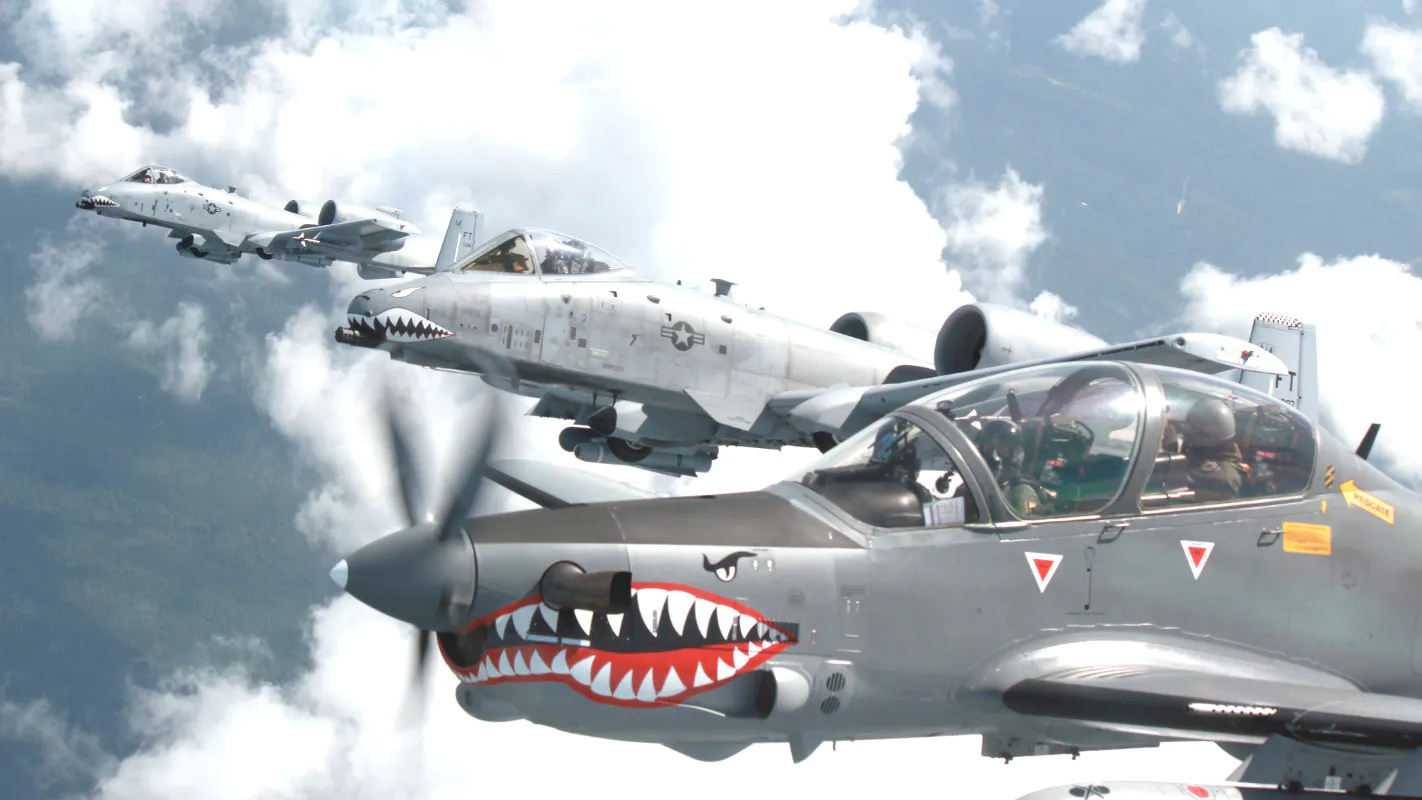 a-10-a-29.jpg