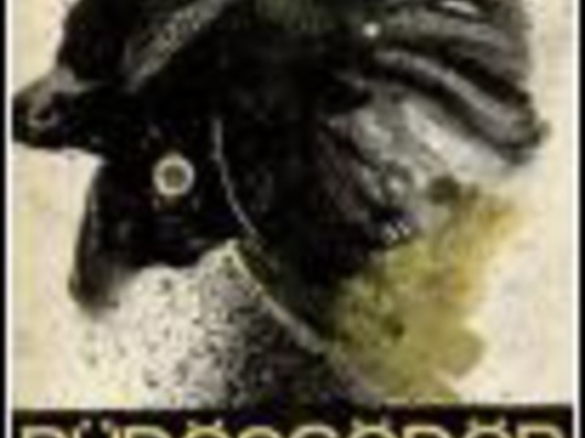 Fodor Sándor: Büdösgödör