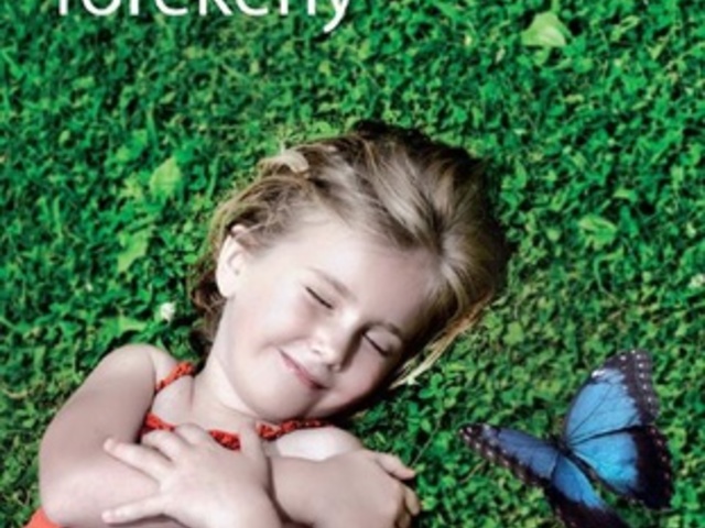 Jodi Picoult: Törékeny