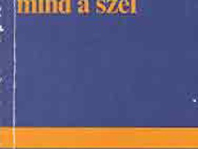 Richard Brautigan: Hogy el ne fújja mind a szél