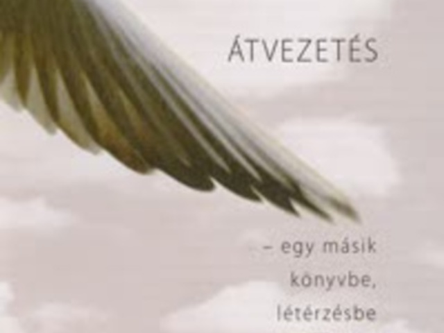 Sándor György: Átvezetés – egy másik könyvbe, létérzésbe és örömbe