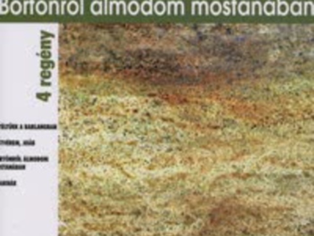 Gion Nándor: Életmű – 2. Börtönről álmodom mostanában