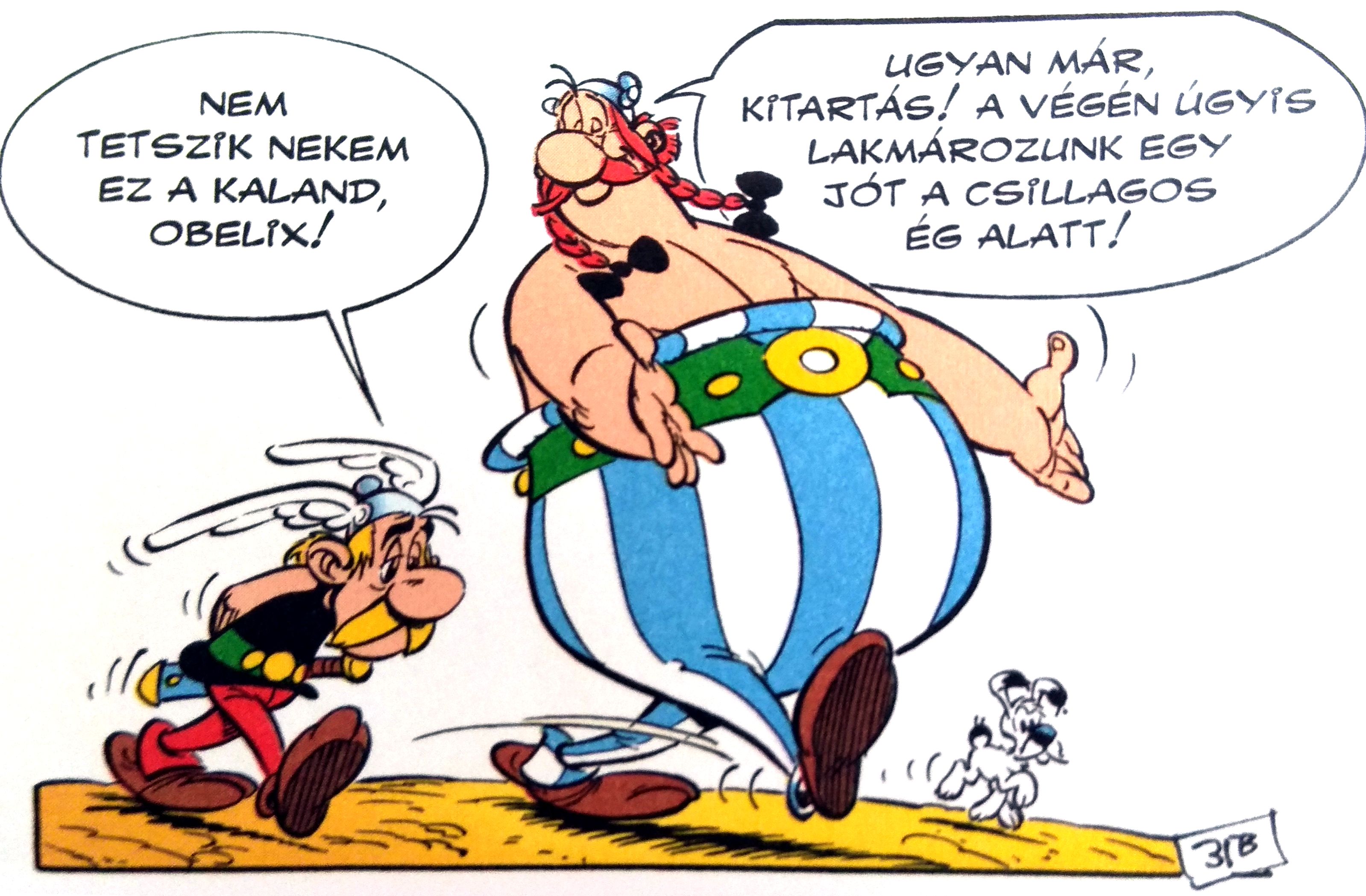 asterix_27_asterix_fia_csillagokalatt.jpg