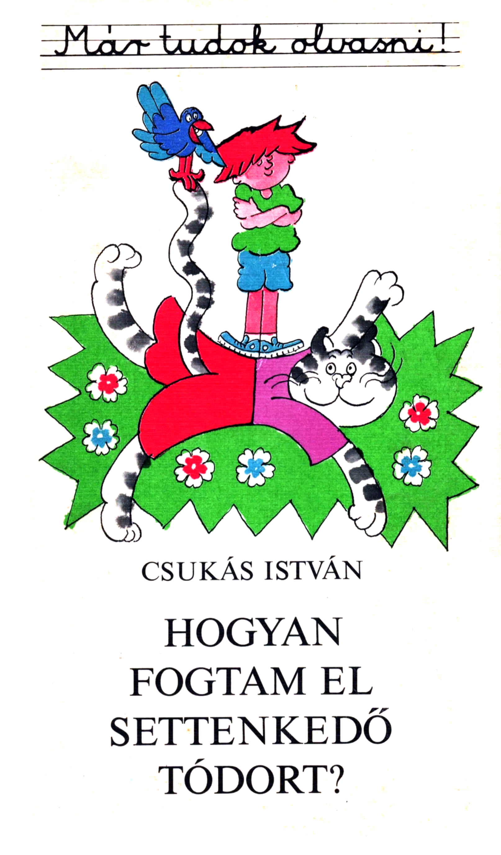 csukas_hogyan_fogtam.jpg