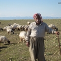 A jezidik: egy vallási kisebbség a változó Közel-Keleten